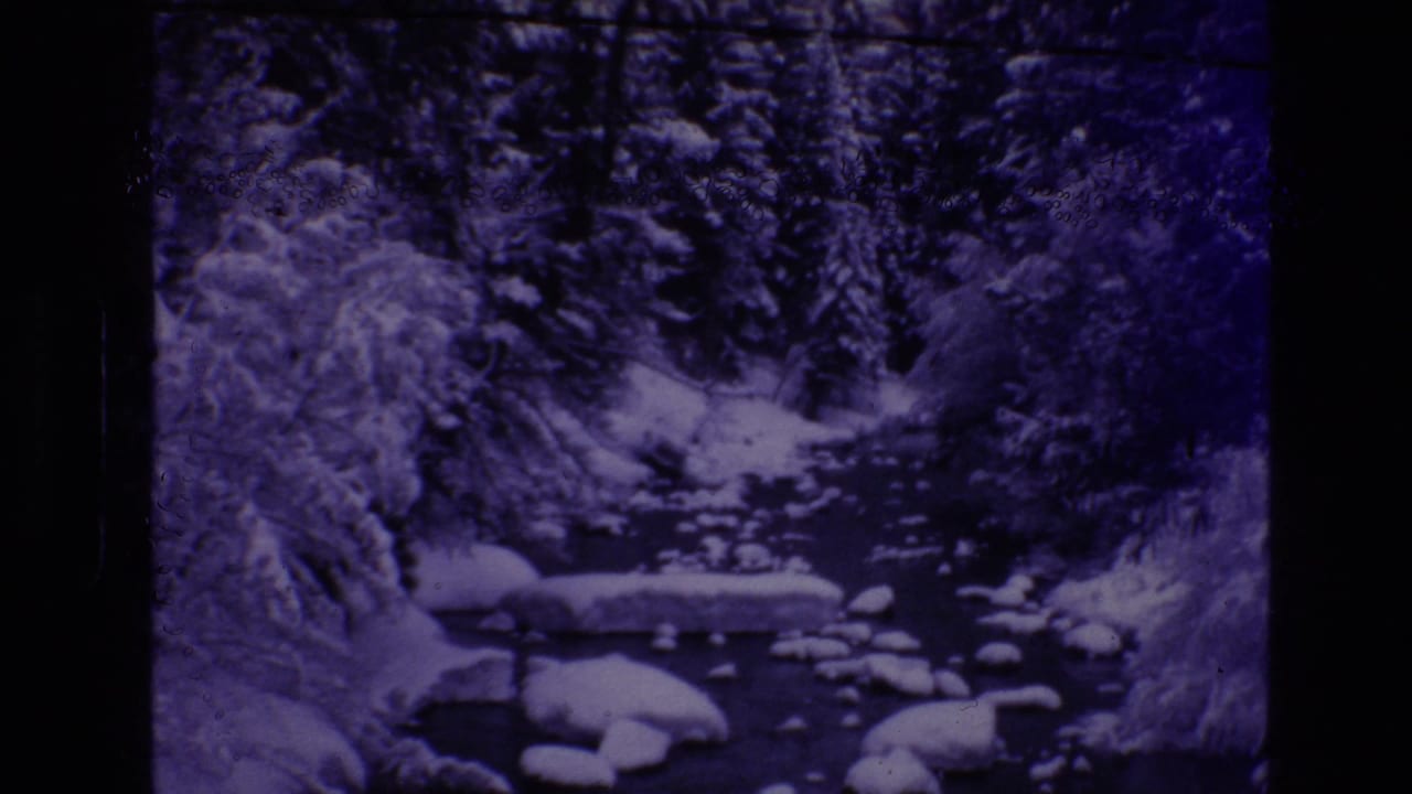 Vail, Colorado 1974 home-movie frame showing a snow-covered evergreen forest and a dark stream winding through rounded rocks, with heavy film grain and a purple color cast.