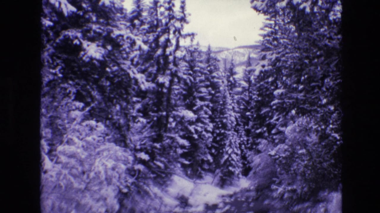 1974 Vail, Colorado 8mm frame showing snow-laden evergreens and a small stream or drainage channel in a wooded winter landscape.