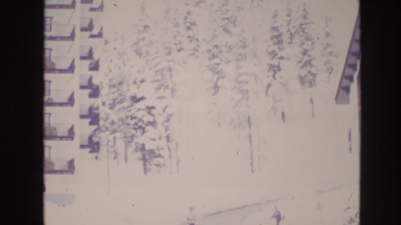 Bright snowy trees and apartment balconies with a distant figure near the lower edge.
