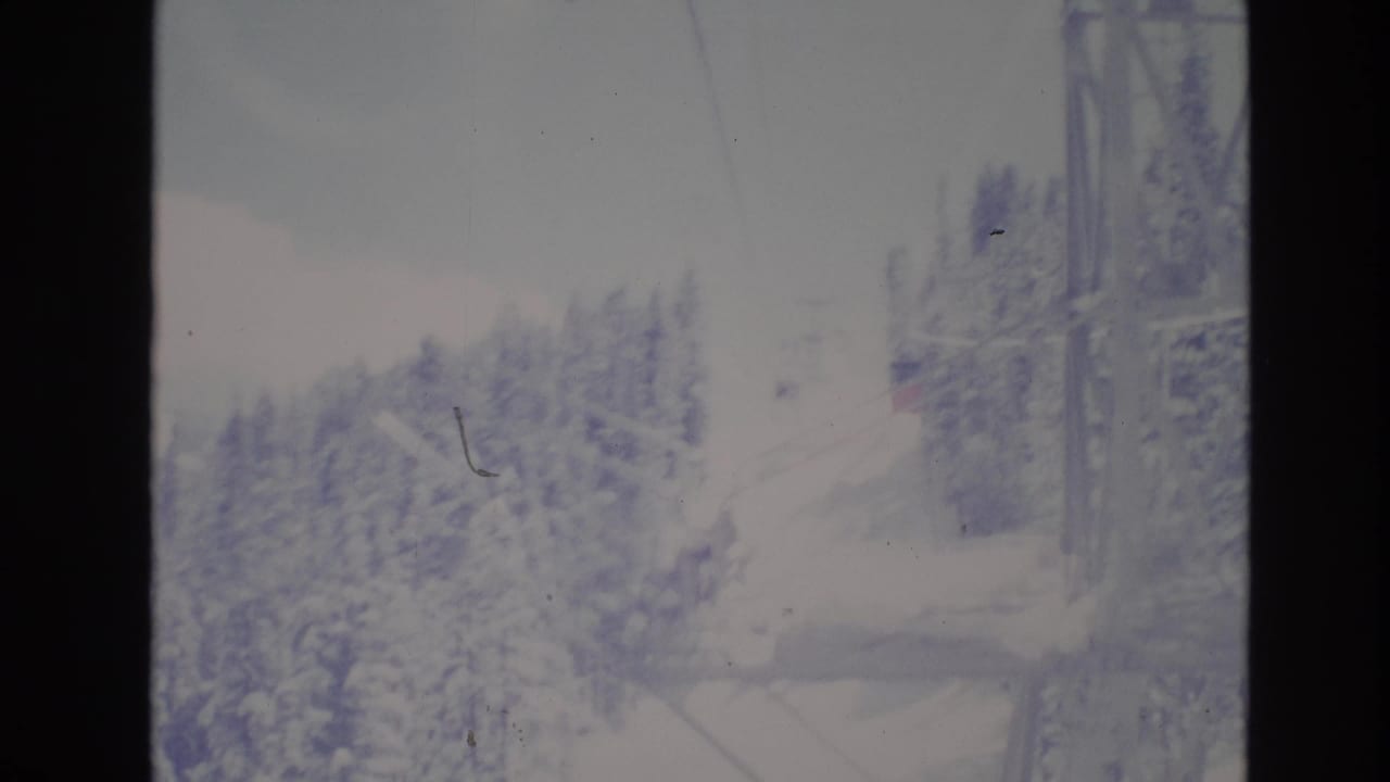 Snowy evergreen slope with ski-lift cables and a structure at the right edge.