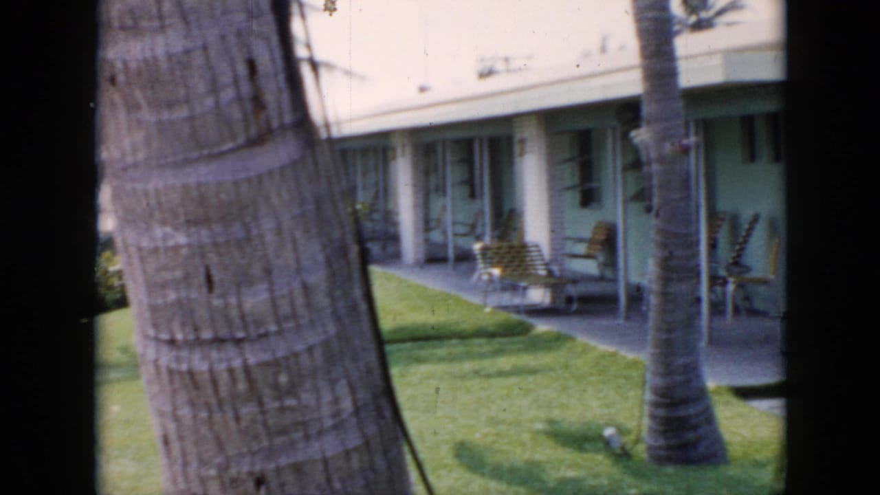Palm trees frame a pastel motel walkway with lawn and lounge chairs.