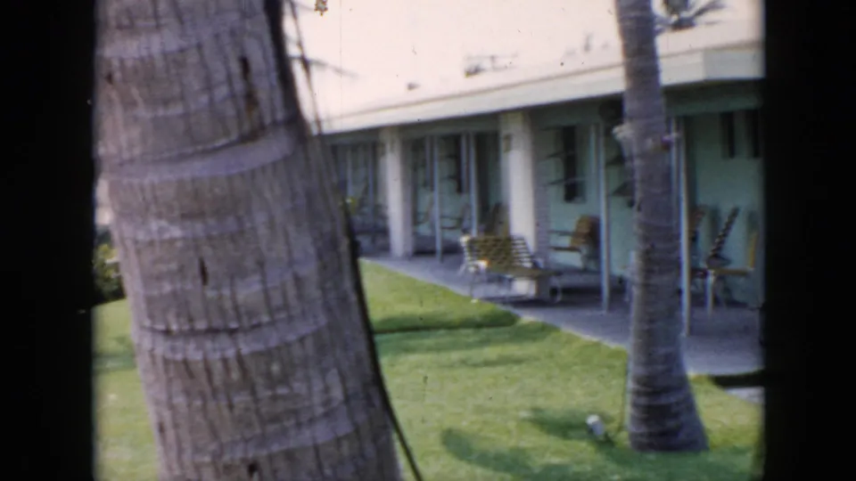 1956 Cuba home-movie frame showing palm trunks, a motel exterior, green lawn, walkway, and patio lounge chairs.