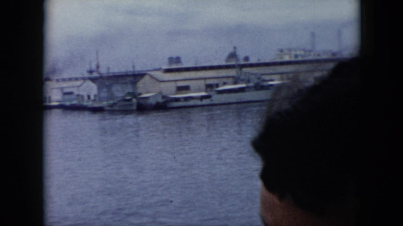 Woman in dark profile looks out from a boat toward harbor water, boats, and low industrial buildings.