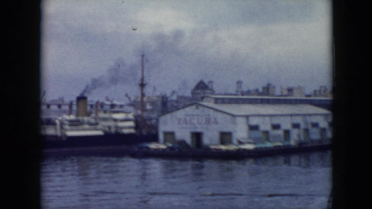 White VACUBA warehouse beside docked vessels, smokestacks, cranes, and harbor water.