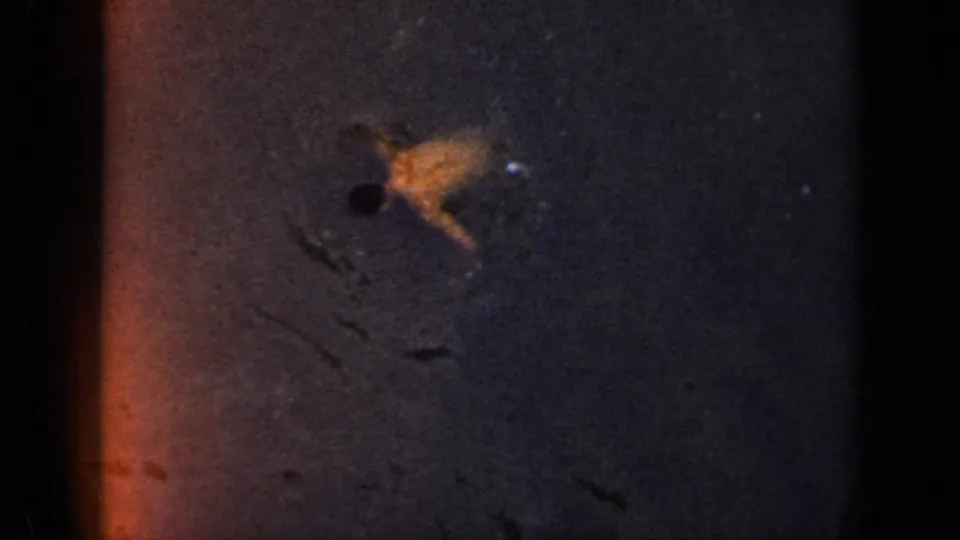 Underexposed 8mm frame from the same Cuba reel, showing dark film texture, reddish edge flare, scratches, and small light specks.