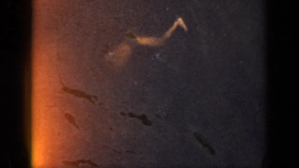 1956 Cuba home-movie frame showing a small swimmer in dark water, partly obscured by grain, scratches, and a warm light leak.