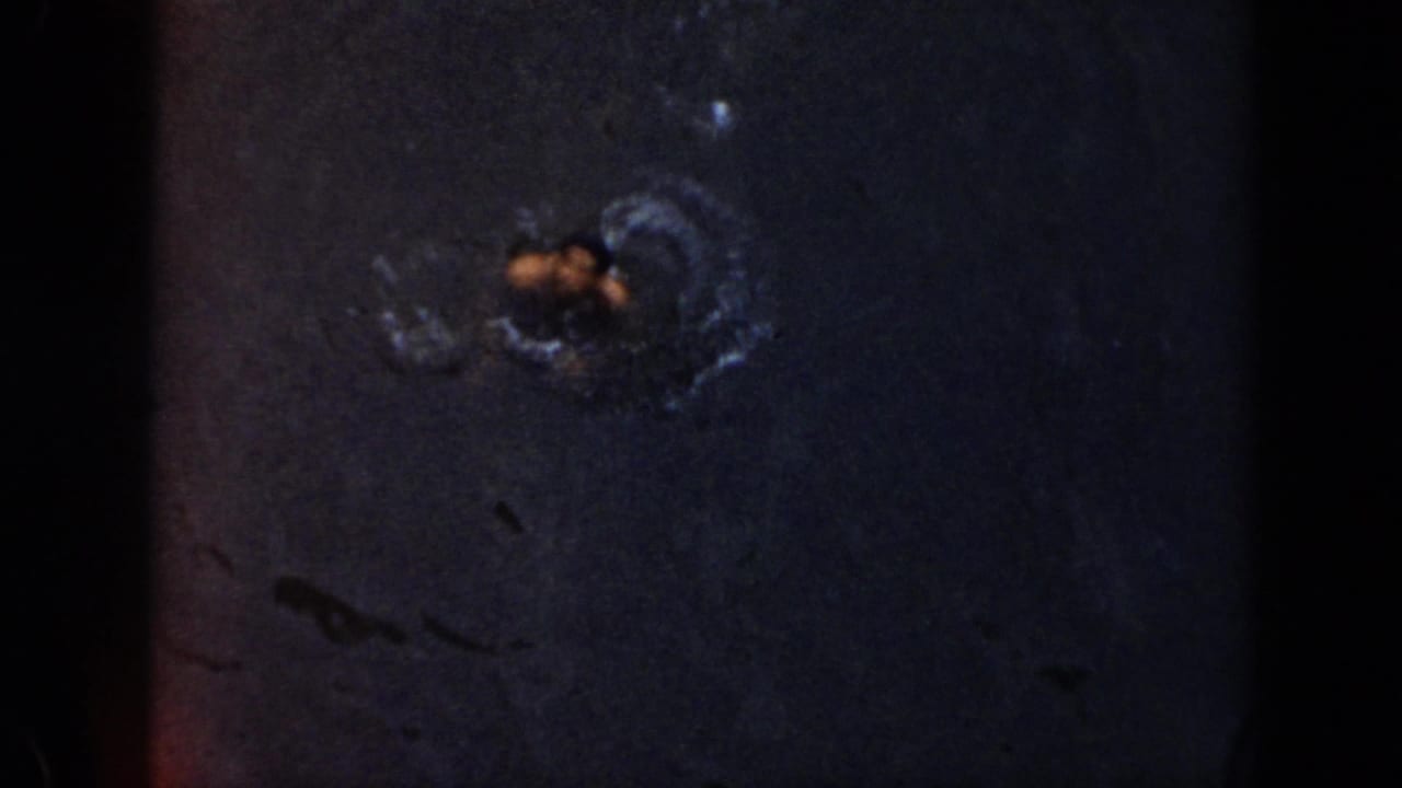 Swimmer's head and shoulders visible amid ripples in dark water.