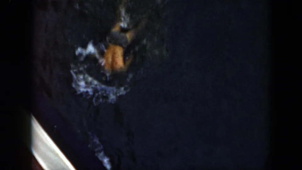 1956 Cuba home-movie frame showing a swimmer partly submerged in dark water with splash marks and visible 8mm frame edges.