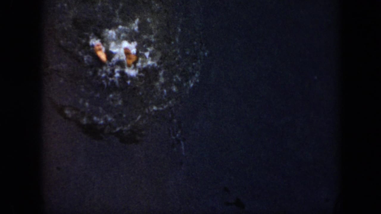 A small swimmer form appears amid splash foam on dark pool water in this 1956 Cuba home-movie frame.