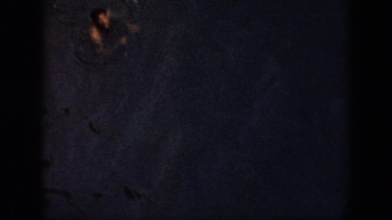 1956 Cuba 8mm frame showing dark water and a distant swimmer silhouette under very low light.