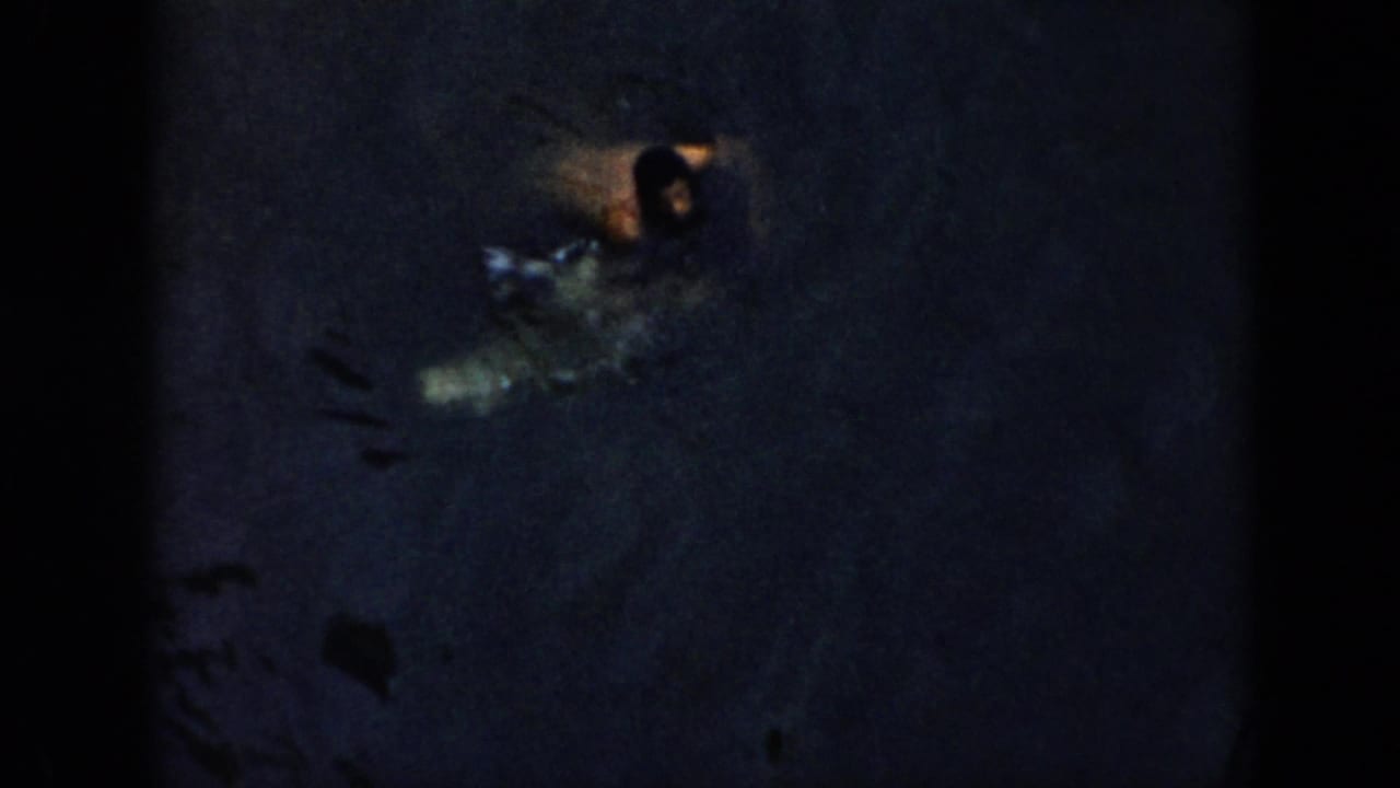 1956 Cuba 8mm frame with a swimmer partly visible in dark water, surrounded by ripples and splash highlights.
