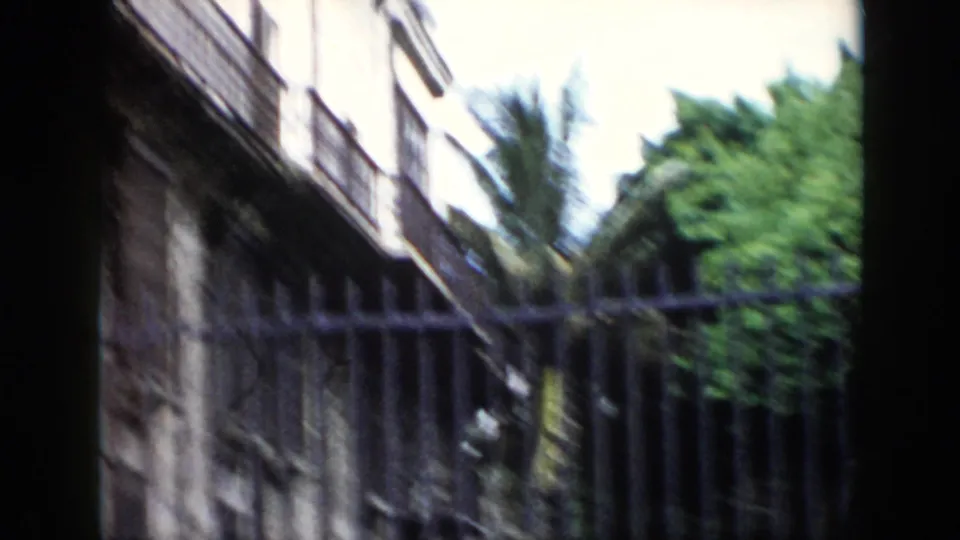 Soft-focus 1956 Cuba frame showing an iron fence before a weathered building edge, with palm fronds and dense greenery beyond.
