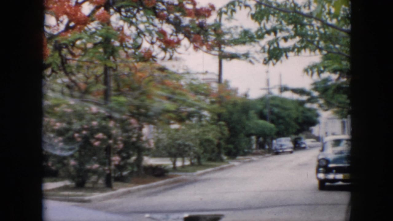 Leafy street with a dark vintage sedan near the curb and sidewalks on both sides.