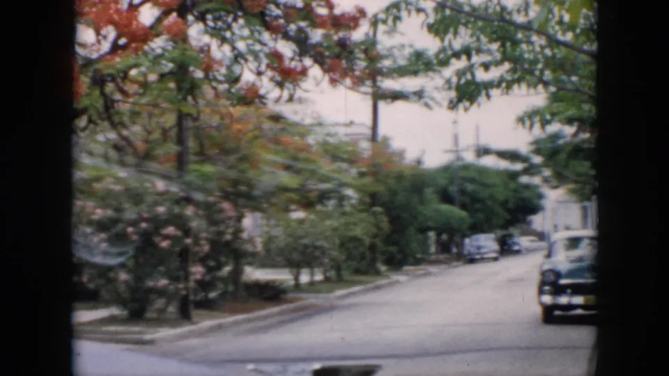 1956 Cuba street view with tropical trees, a dark mid-century sedan at the right curb, sidewalks, and distant parked cars.