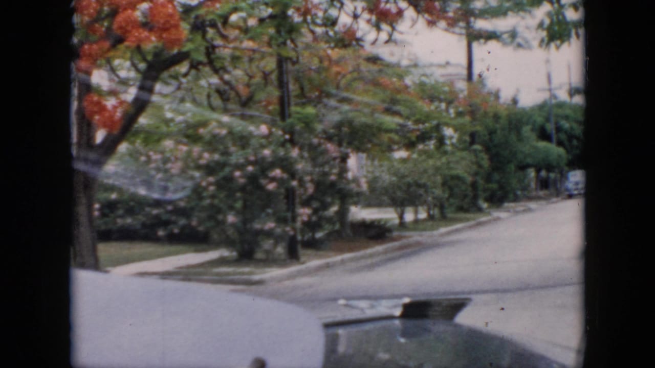 1956 Cuba street view filmed from a vehicle, with flowering shrubs, trees, curb, and quiet road visible.
