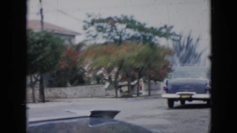 Rear view of a dark 1950s car on a Cuba avenue, with leafy trees, red-orange blossoms, low walls, and houses nearby.