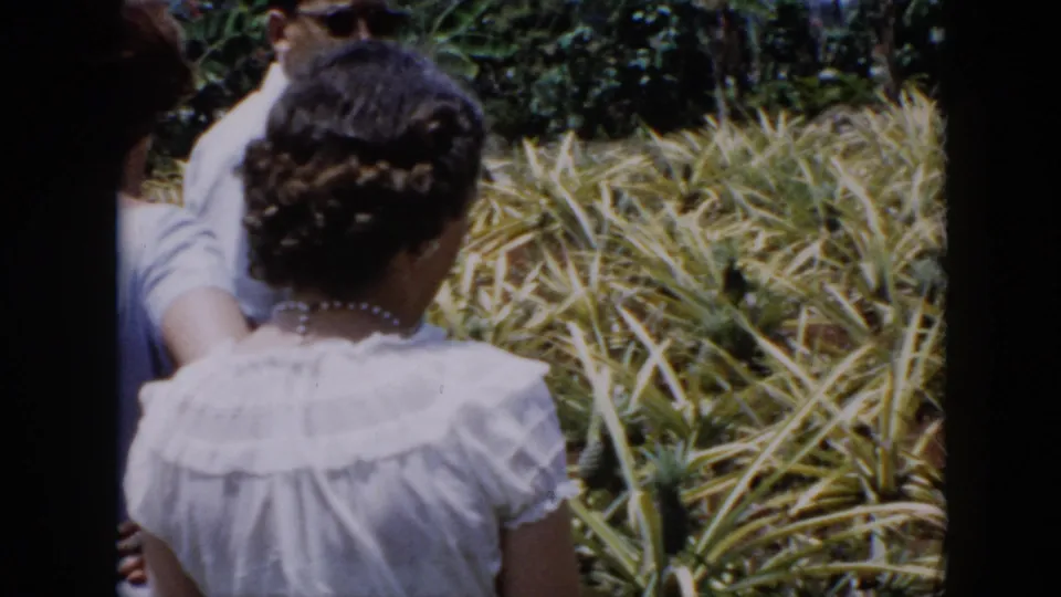 1956 Cuba home-movie frame showing adults from behind, including a woman in a white ruffled dress, walking near pineapple plants.