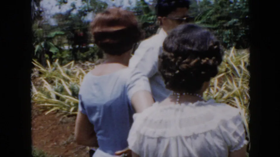1956 Cuba 8mm frame showing three adults from behind as they walk past pineapple plants and greenery in a cultivated field.
