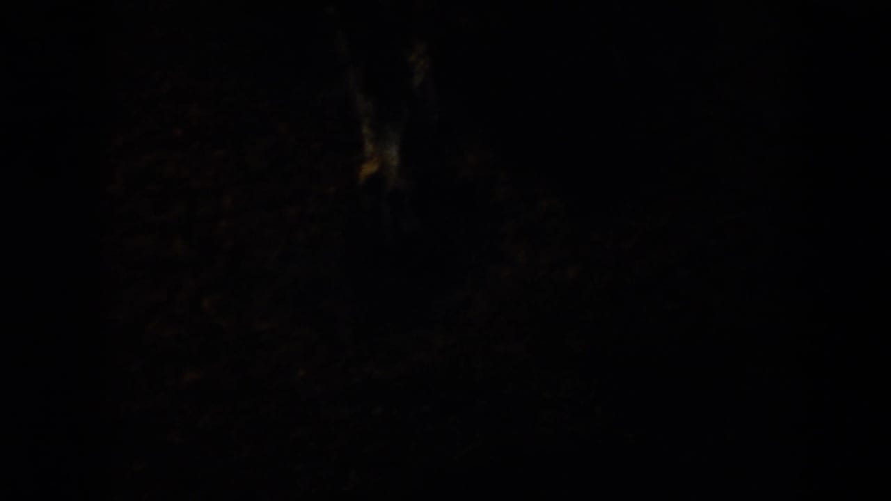 Mostly dark frame with faint outdoor texture and a bright strip of grass at left.