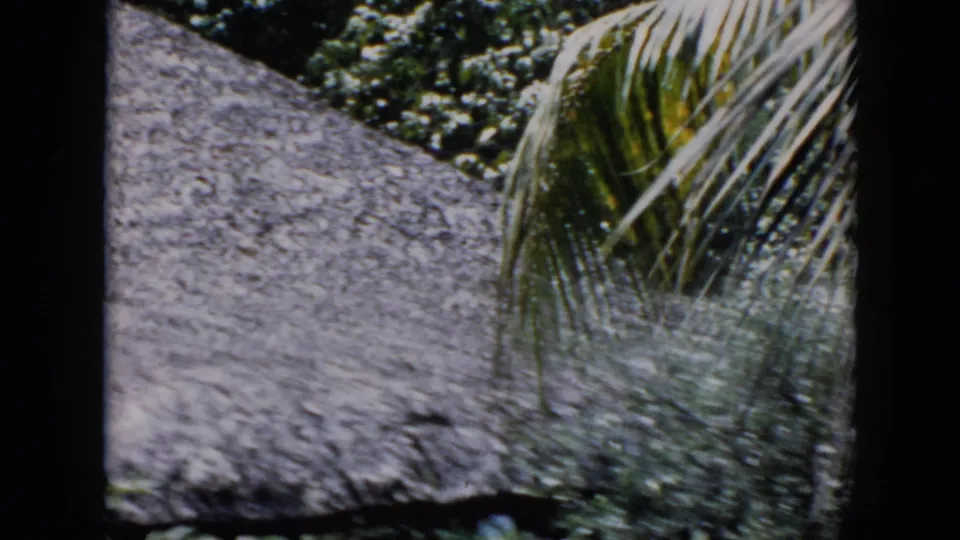 1956 Cuba 8mm frame showing a thatched tropical structure behind palm fronds and foliage, with dark film-frame borders.