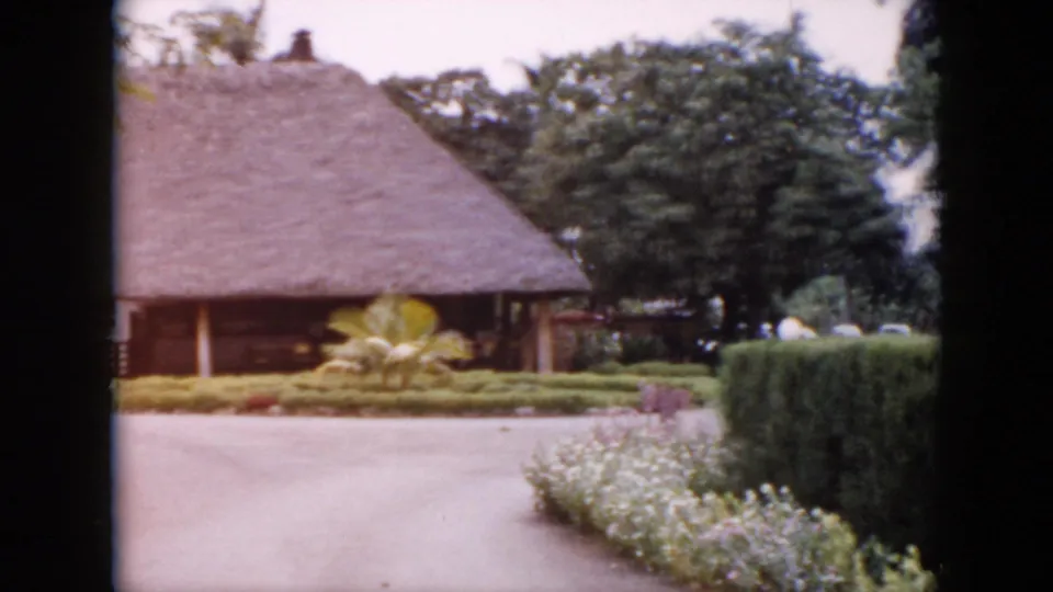 1956 Cuba exterior frame showing a palm-thatched building or pavilion set among hedges, flowering plants, and trees.