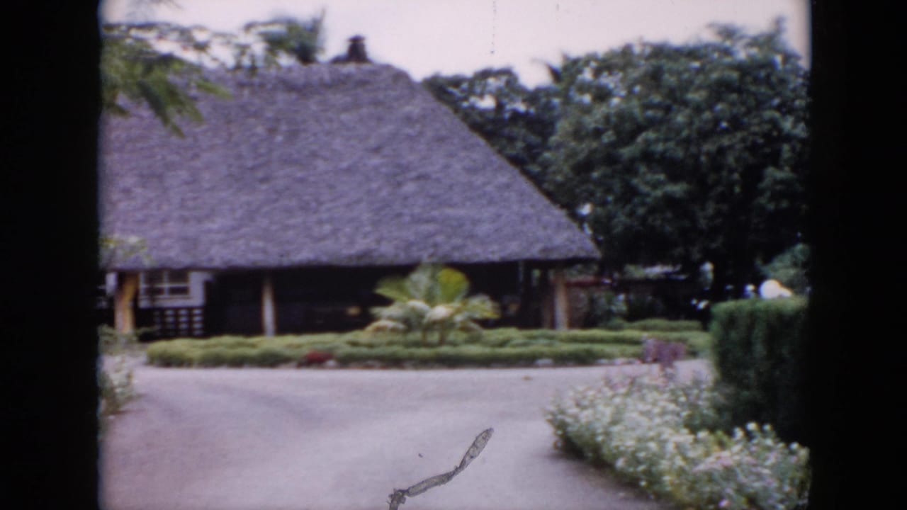 1956 Cuba home-movie frame showing a thatched-roof building, manicured hedges, flowers, and tropical trees beside a paved walkway.