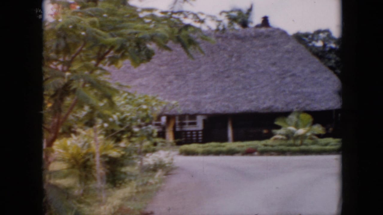 1956 Cuba travel footage frame with a thatched-roof structure partly obscured by leafy trees, shrubs, and a garden path.