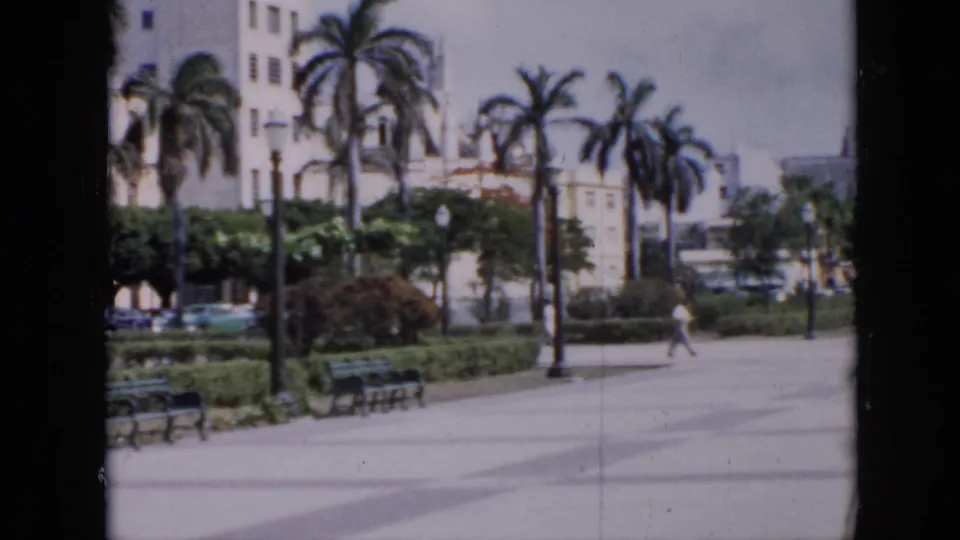 A wide view shows the Cuban park promenade with palms, benches, planted areas, and pale multi-story buildings in bright daylight.