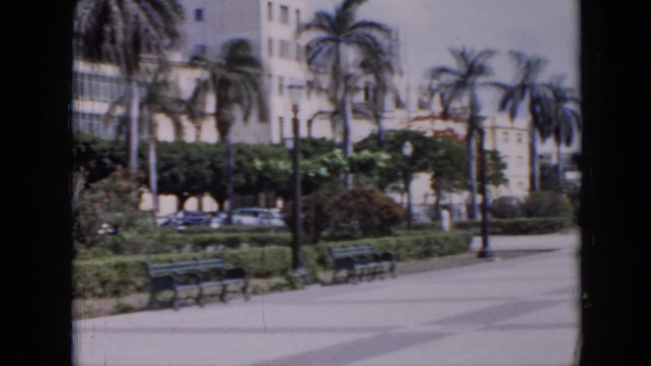 1956 Cuba home-movie frame of a palm-lined urban park with hedges, benches, light-colored buildings, and cars in the background.