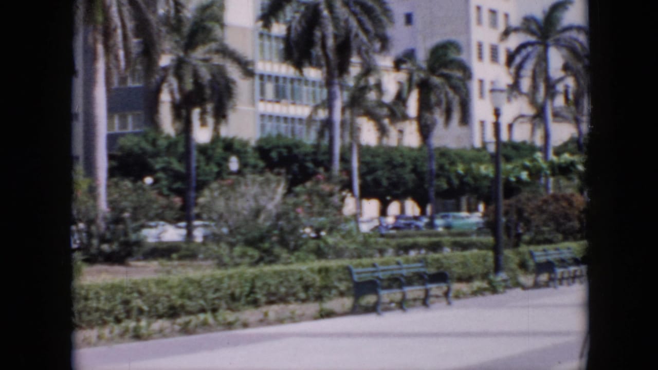 1956 Cuba park view with palms, clipped hedges, benches, parked cars, and pale mid-century buildings behind the landscaping.