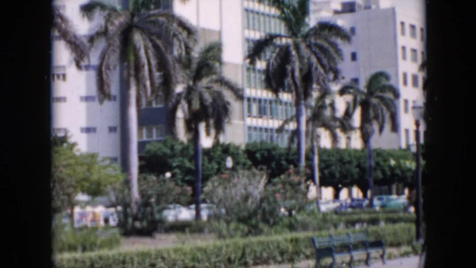 1956 Cuba frame showing tall palms, manicured hedges, a green bench, parked cars, and a light urban building in bright sun.