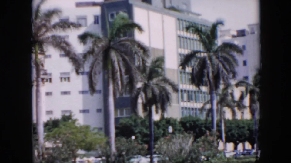 1956 Cuba home-movie view of palms against a light modern building, with hedges, a walkway, and partially visible cars below.
