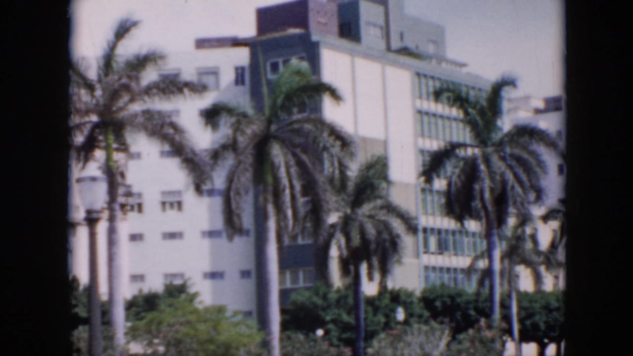 1956 Cuba home-movie frame showing tall palm trees and a modern white building seen across a sunny urban space.