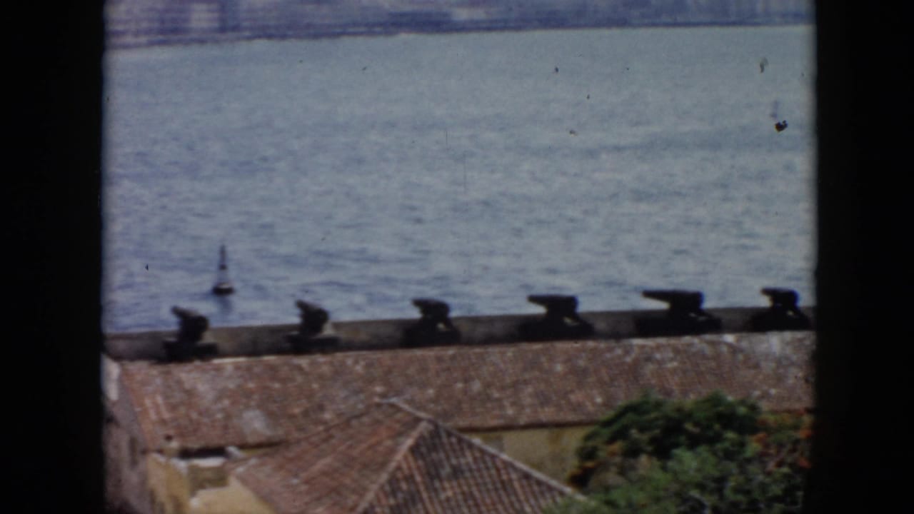 Cannons lined along a red tile roof above calm water.