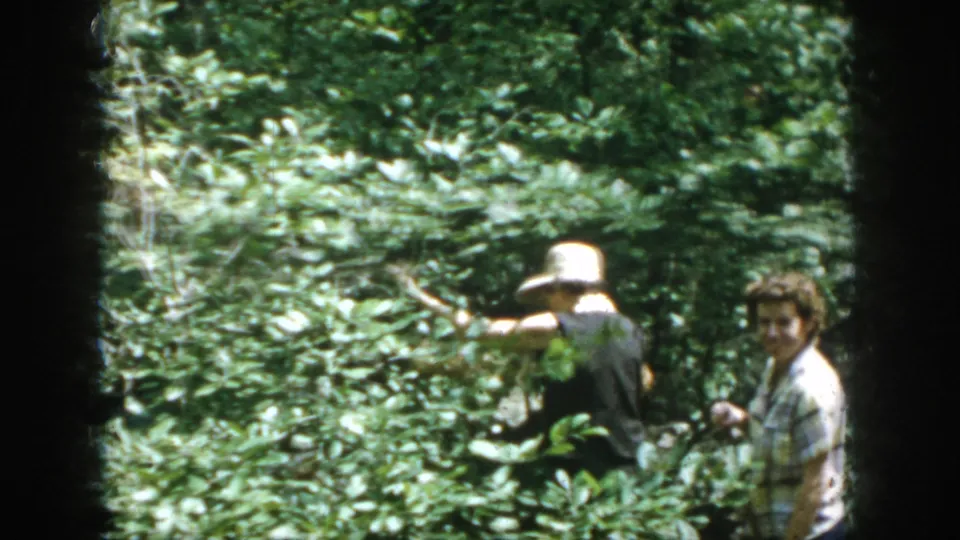 1958 Dayton, Ohio home-movie frame showing two adults partly surrounded by dense greenery during an outdoor nature outing.
