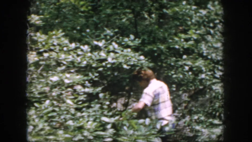 A person in a plaid shirt moves through leafy woods in this 1958 Dayton home-movie frame.