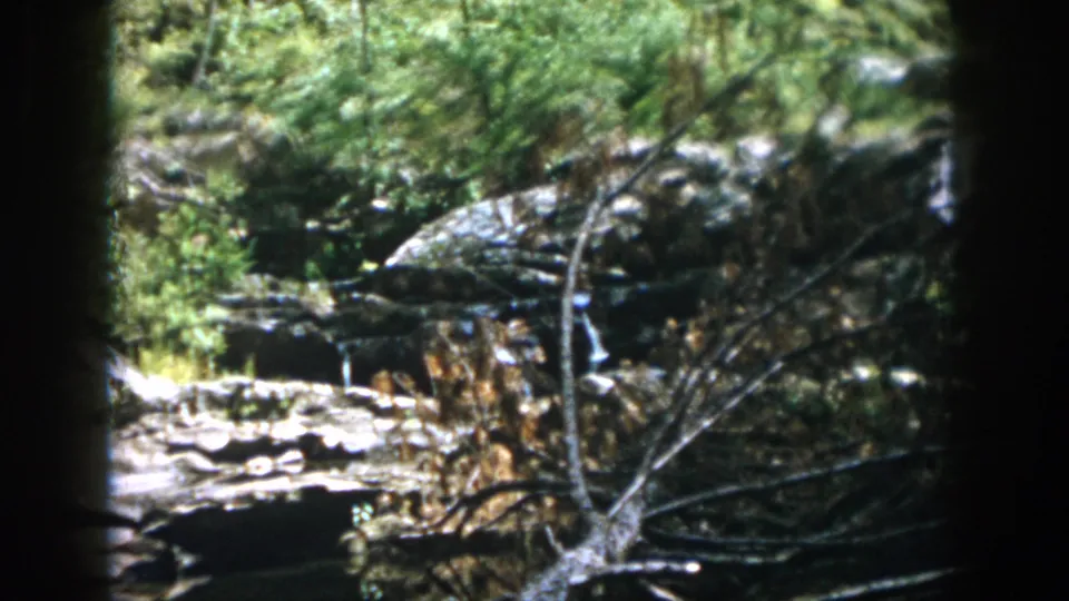 The 8mm footage shows a rocky wooded watercourse with branches and foliage, likely part of the same Dayton, Ohio hiking scene.