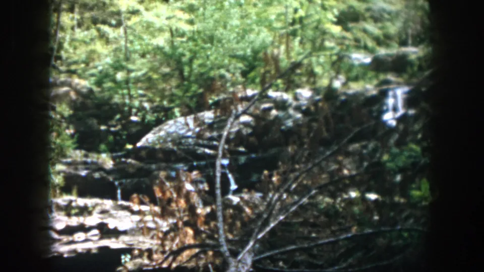 A rocky stream area and dense green woodland remain in view near the end of the 1958 Dayton, Ohio home-movie clip.