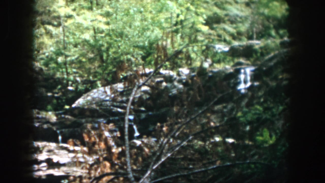 1958 Dayton-area 8mm frame of a narrow forest stream dropping over rocks, surrounded by dense green foliage and dark frame edges.