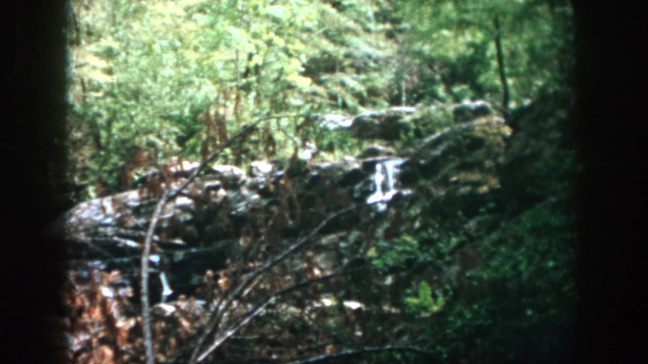 Rocky creek and small cascade surrounded by leafy forest vegetation.