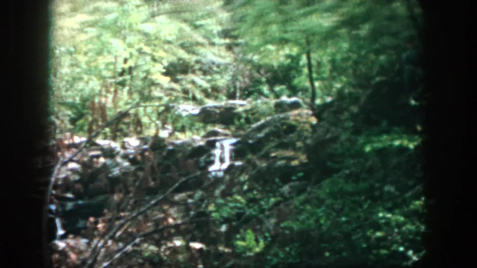 1958 home-movie frame showing a soft-focused wooded creek, bright water over rocks, and heavy green growth around the stream.