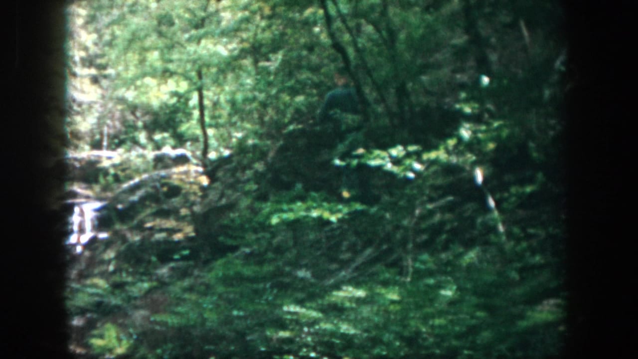 1958 Dayton-area 8mm frame showing dense green woods, rocks, running water, and a distant person moving through the forest.