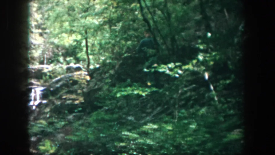 1958 Dayton-area 8mm frame showing dense green woods, rocks, running water, and a distant person moving through the forest.