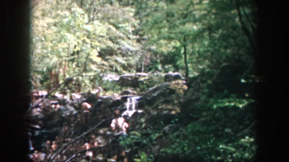 1958 Dayton-area 8mm footage shows a small waterfall spilling over rocks amid dense forest growth and fallen branches.