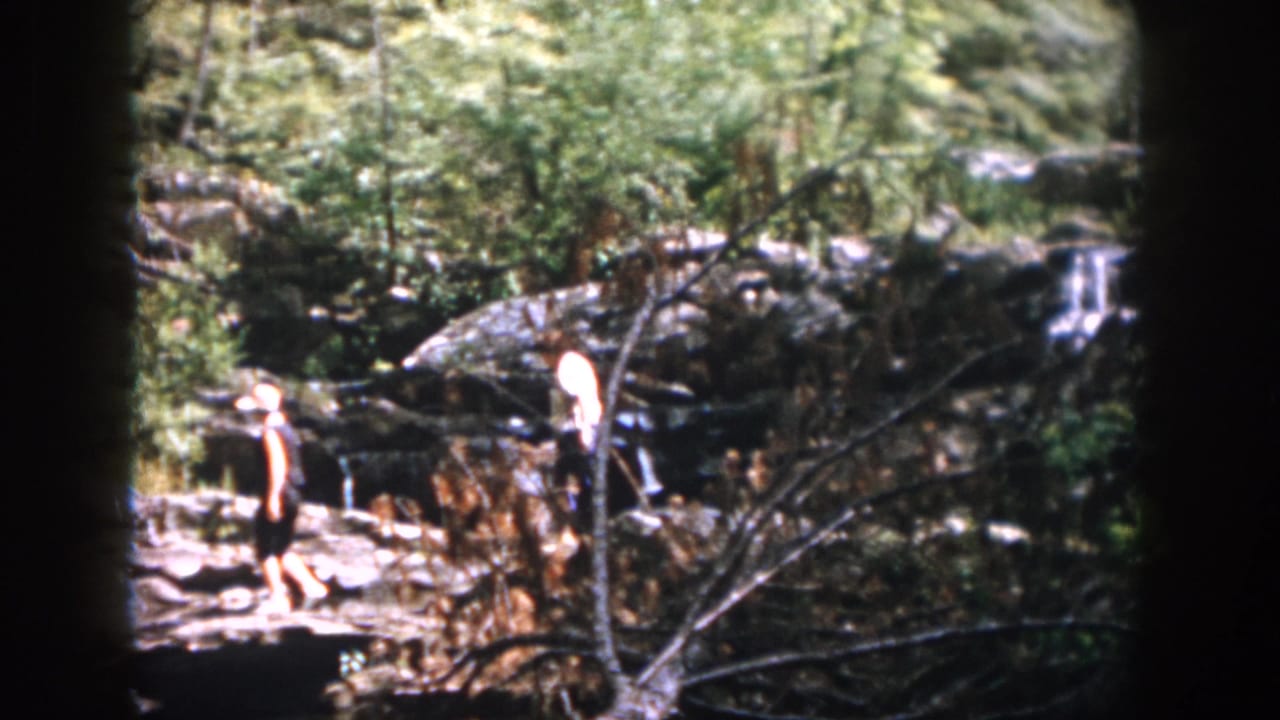 Two people stand on uneven rocks near shallow water and forest brush.