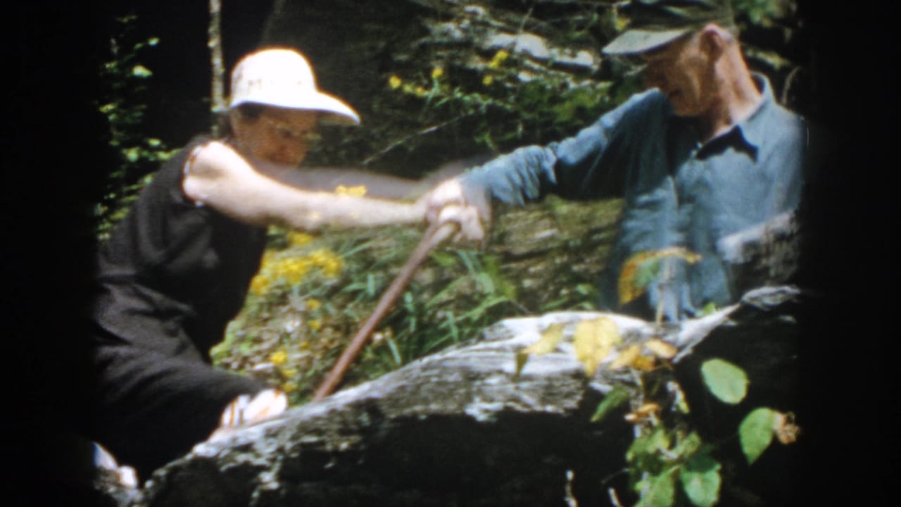 Man in a blue shirt reaches toward a woman using a cane on rocks.