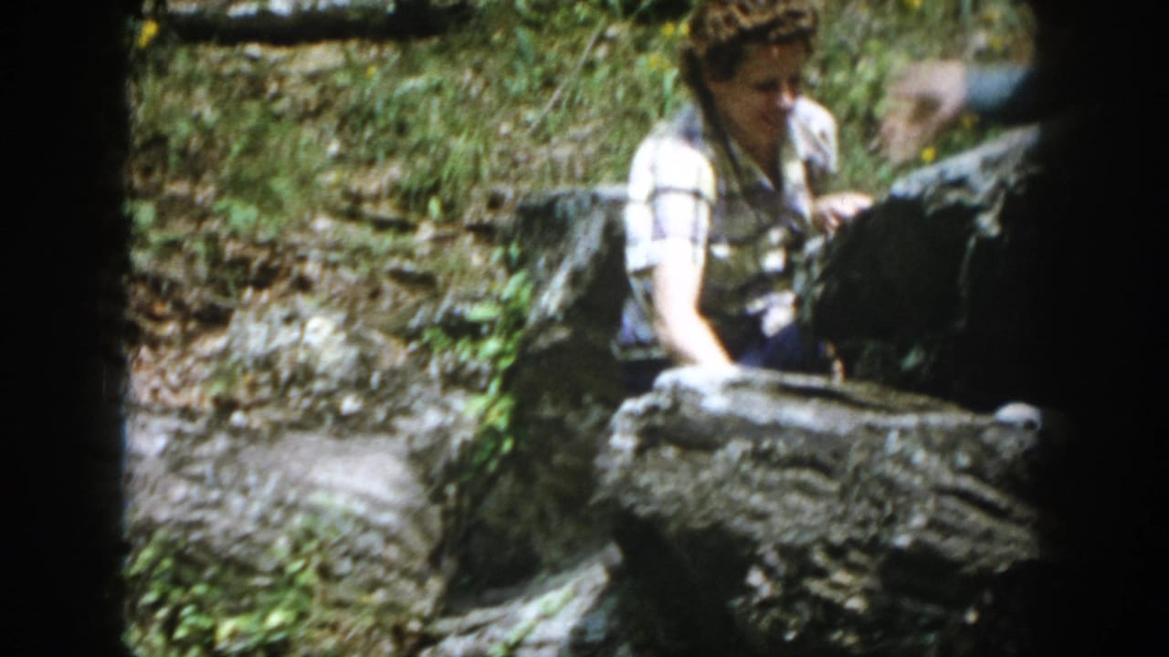 1958 Dayton, Ohio home-movie frame showing an adult in a plaid shirt moving among large rocks near foliage and water.