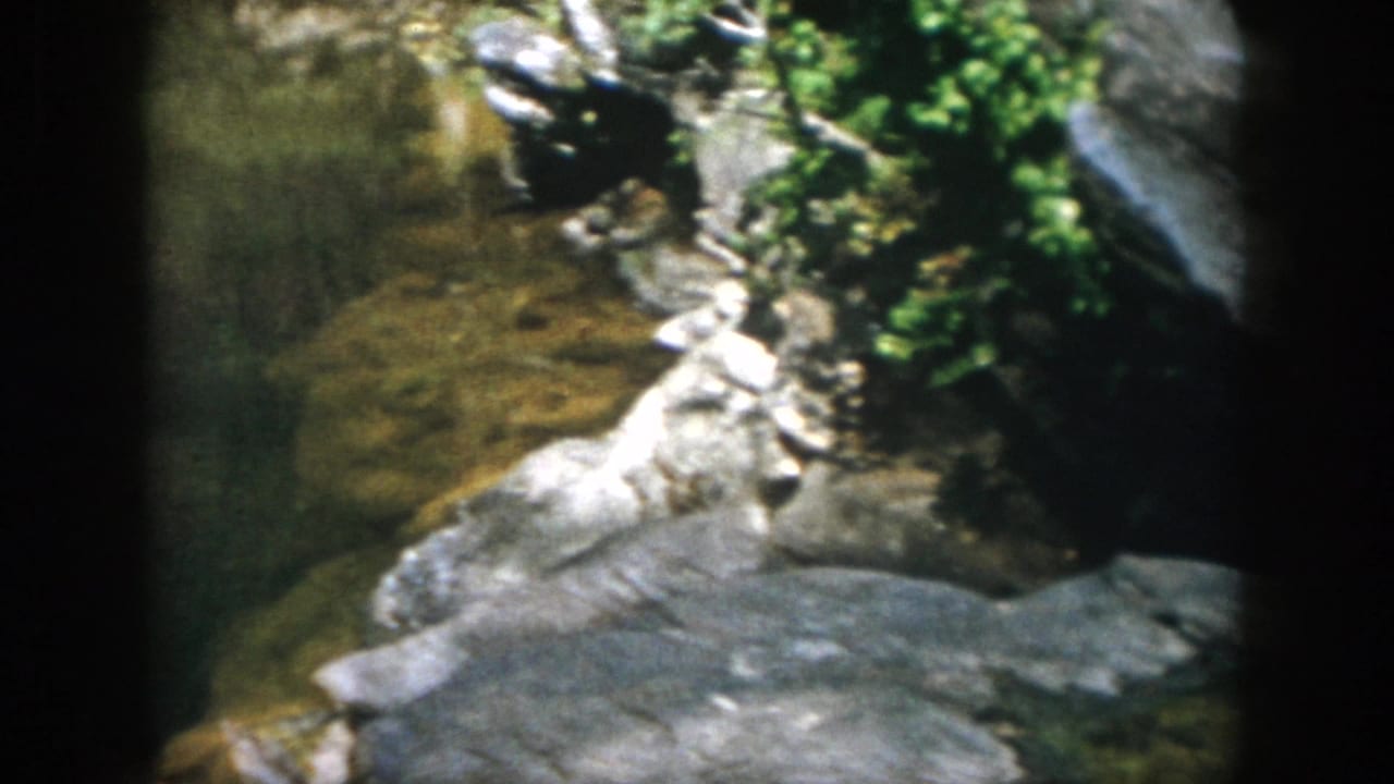 1958 Dayton, Ohio 8mm frame showing a creek edge with grey rocks, shallow water, and green vegetation.