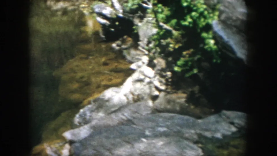 1958 Dayton, Ohio 8mm frame showing a creek edge with grey rocks, shallow water, and green vegetation.