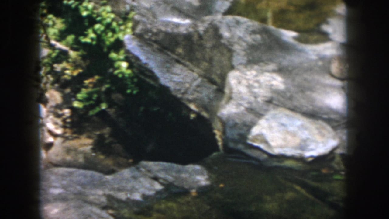 Large grey boulders border a shallow creek with plants growing between rocks.
